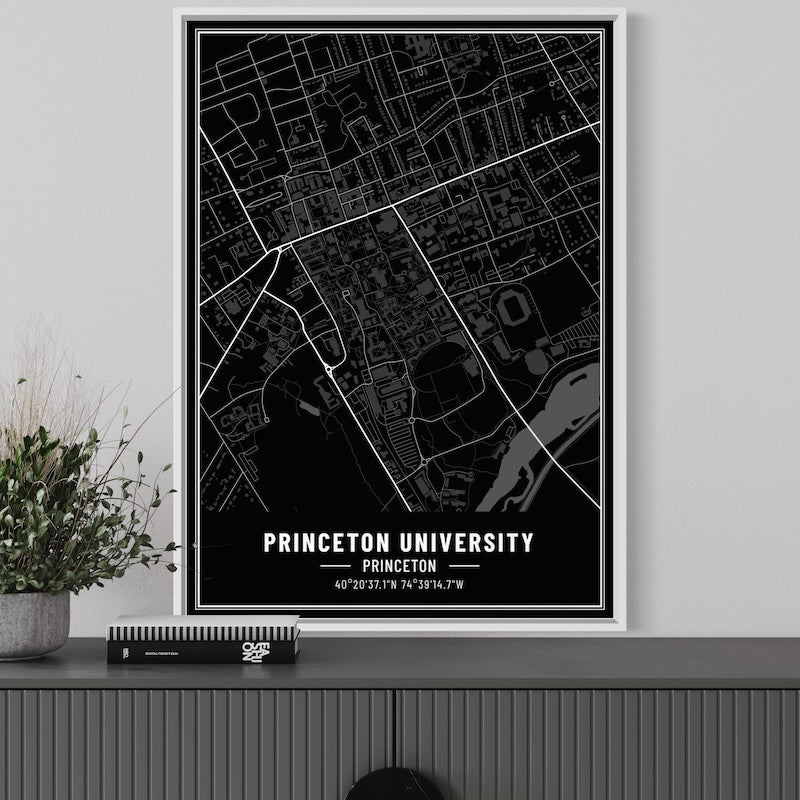 Princeton University Map Poster | Princeton University Map Wall Art | Princeton University Map Print